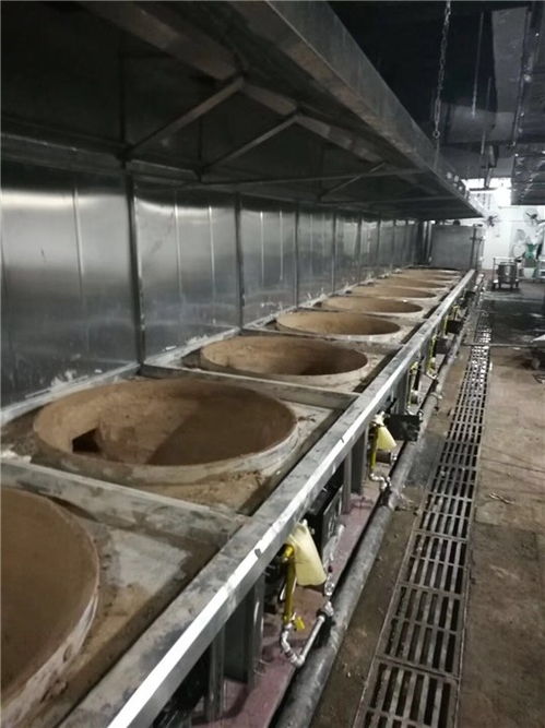 中邦氣化爐商用設(shè)備 從高清安裝圖到企業(yè)實力全解析